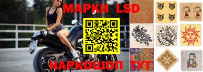 гидра Ставрополь