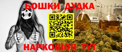 гидра Ставрополь