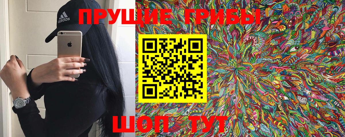 Псилоцибиновые грибы MAGIC MUSHROOMS  где купить наркоту  Рославль  Вход с VPN 